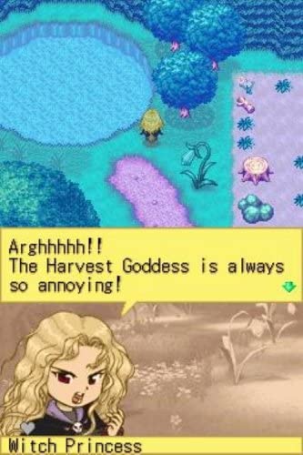 harvest moon ds witch princess